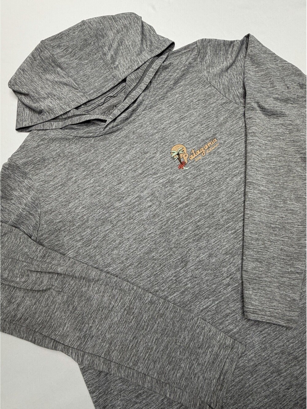 Patagonia Hoodie Men Med  Long Sleeve Capilene Cool Daily Graphic Hoody UPF Hike